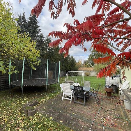 Das Gruene Haus Finsterwalde Zewnętrze zdjęcie
