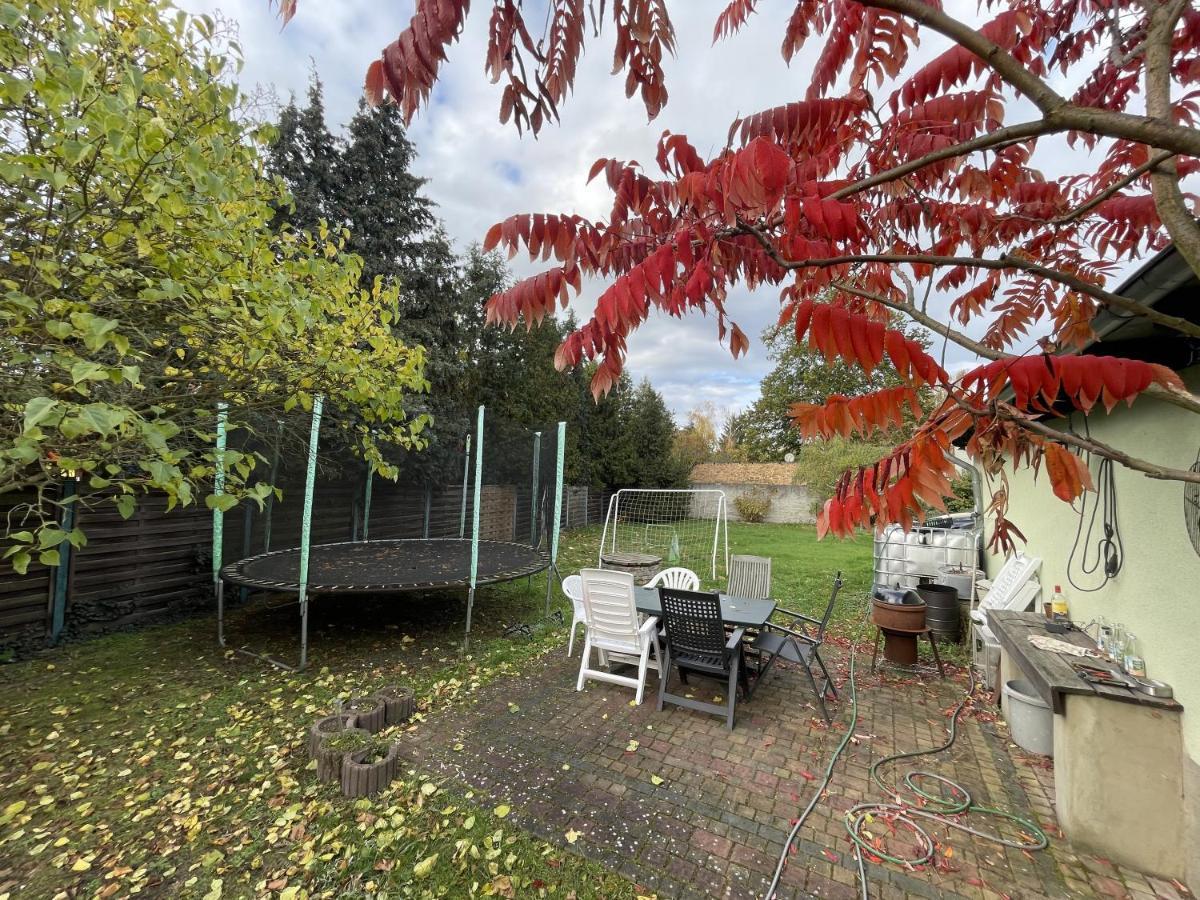 Das Gruene Haus Finsterwalde Zewnętrze zdjęcie