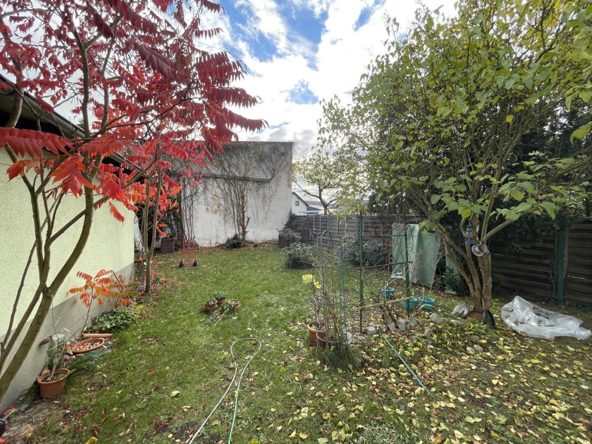 Das Gruene Haus Finsterwalde Zewnętrze zdjęcie